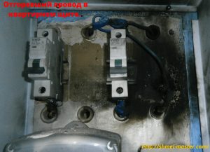 вызов электрика круглосуточно